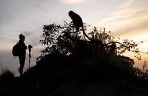 Mount Batur Volcano Sunrise Trekking with Breakfast
