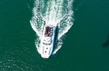 Newcastle Whale Watching Cruise