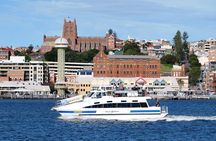 Newcastle Whale Watching Cruise