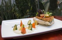 Catch of the day dinner in your private villa/condo in Cabo or San Jose del Cabo