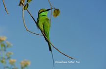 Udawalawe National Park | Private Safari Tour