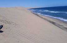 Sandwich harbour and Welwitschia Tour