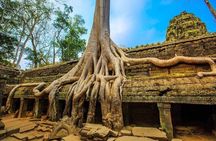 Private Siem Reap 4 Days: Full Exploration of the Angkor Complex