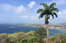 Full Island Tour (Including Lunch & Snorkeling)