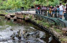 Wild Waters - Haller Park Day Excursion (minimum 2 Pax)