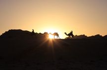 One Day Tour Wadi Rum