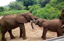 3 - Days Tanzania Wildlife Safari