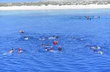 Hamata and qulaan Islands Snorkeling Sea Trip With Transfer, Lunch - Marsa Alam