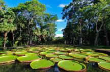 Full-Day North Tour of Mauritius, ALL INCLUSIVE Day Trip, Private SUV Car, Guide