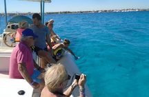 Private Speedboat Trip In Hurghada