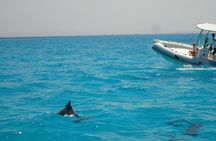 Private Speed Boat Trip In Hurghada