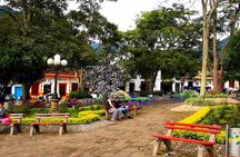 Tour Jardin