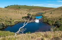 Private Tour to Horton Plaines by Van