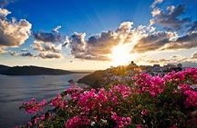 Santorini: 6hr Private Custom Tour with Olive Oil or Wine Tasting
