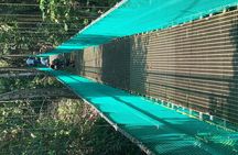 Roatan Shore Excursion: Hanging Bridges Eco Tour and Beach Break