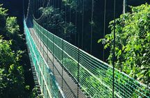 Roatan Shore Excursion: Hanging Bridges Eco Tour and Beach Break