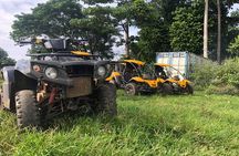 Vanuatu Buggy Adventure with Yumi Tours