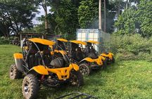 Vanuatu Buggy Adventure with Yumi Tours