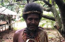 Cultural Experience & Blue Lagoon with Yumi Tours