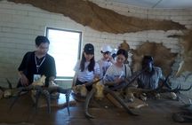 5 Days Adventurous Wildlife Safari