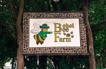 Panglao's Best Hinagdanan Cave, Bee Farm, Mirror of the World