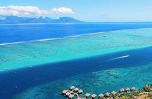 Small group snorkeling (5 people max): wrecks & tropical fishes at 3:30pm