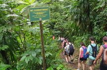 La Soufriere Volcano Hike with Topdawg Taxi and Tours