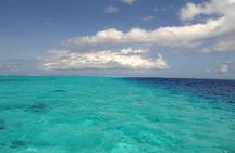 Small group snorkeling (5 people max): wrecks & tropical fishes at 1:00pm