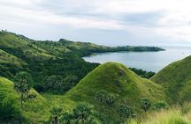 Labuan Bajo In Depth