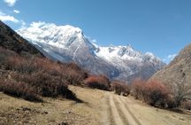 Manaslu Circuit Trekking 