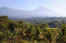Rice paddies, local villages and handicraft