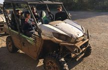 GoKEDEM Gallilee Adventure From Tel Aviv With Authentic Druze Feast