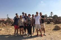 GoKEDEM Masada, DeadSea Camel Ride & Beduin Feast Tour From Tel Aviv