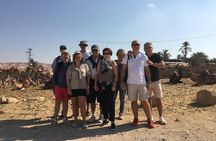 GoKEDEM Masada, DeadSea Camel Ride & Beduin Feast Tour From Tel Aviv