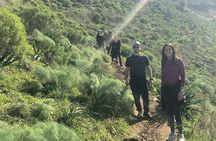 GoKEDEM Gallilee Adventure From Tel Aviv With Authentic Druze Feast