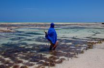 Jambiani Village Tour