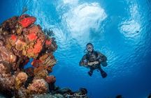 Try Scuba Diving - No previous experience! 
