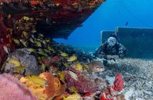 Try Scuba Diving - No previous experience! 