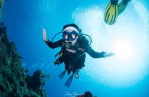 Try Scuba Diving - No previous experience! 