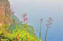 Full day west tour of Salalah