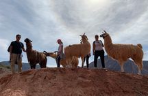 Purmamarca Walk with Llamas