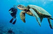 Maui Certified Shore Diving from Lahaina