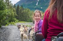 Wilderness Dog Sled Ride and Tour in Seward