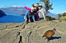 Mou Waho Island Cruise and Guided Nature Walk