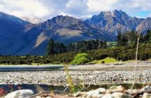 Stevensons Island Cruise and Nature Walk from Wanaka