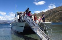 Stevensons Island Cruise and Nature Walk from Wanaka