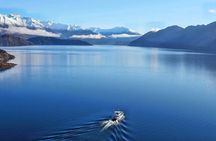 Stevensons Island Cruise and Nature Walk from Wanaka