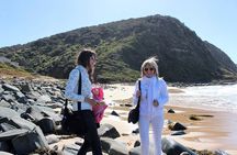 Royal National Park Private Tour
