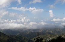 Jamaica Blue Mountain Guided Nature Tour