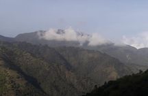 Jamaica Blue Mountain Guided Nature Tour